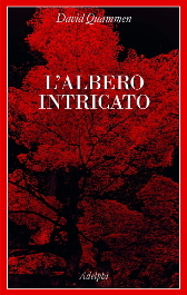 L’ALBERO INTRICATO