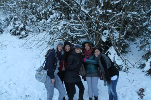 Vienna (Dicembre 2012)