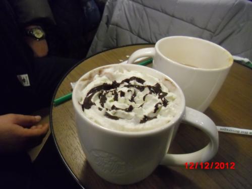 Vienna (Dicembre 2012)