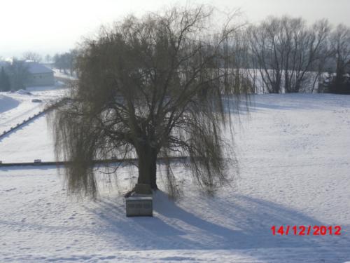 Vienna (Dicembre 2012)