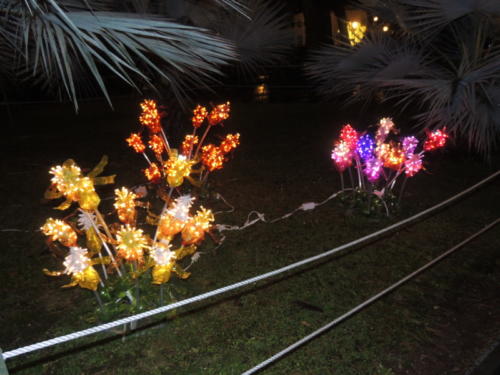 Salerno Incantata (28/11/2013)