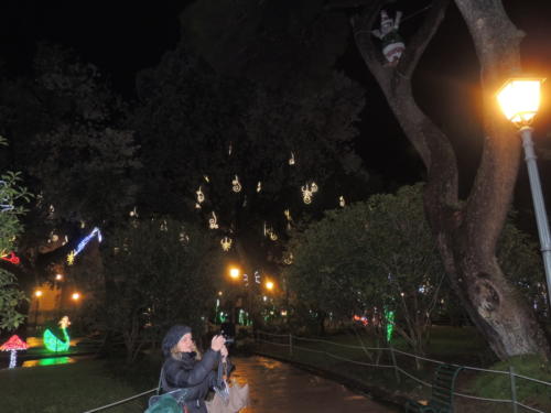 Salerno Incantata (28/11/2013)