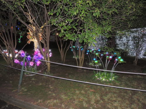 Salerno Incantata (28/11/2013)