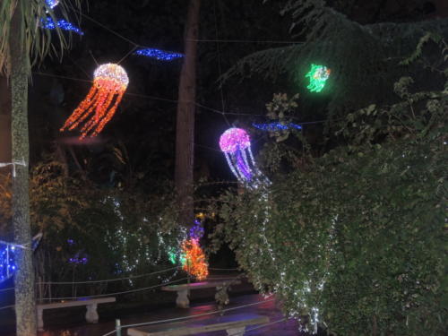 Salerno Incantata (28/11/2013)