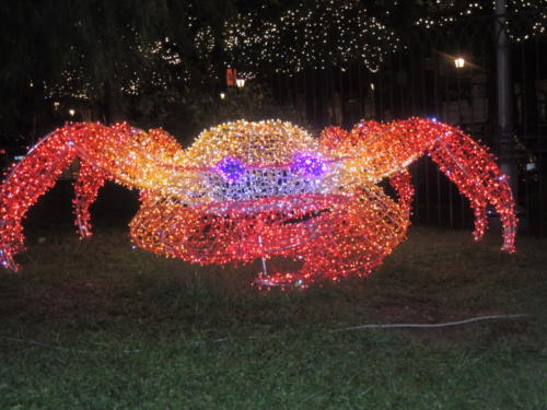 Salerno Incantata (28/11/2013)