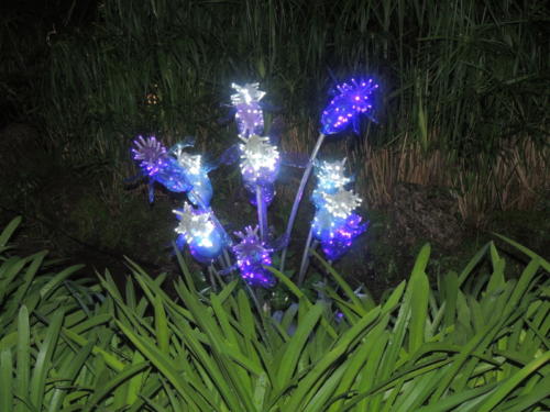 Salerno Incantata (28/11/2013)