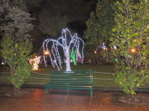 Salerno Incantata (28/11/2013)