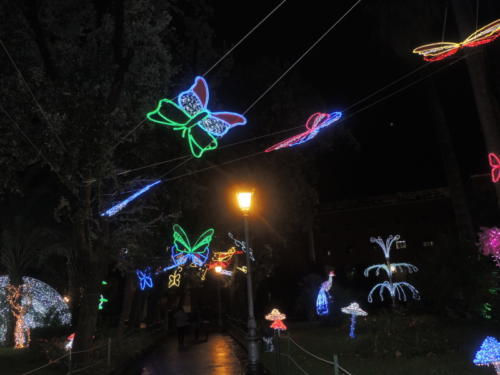 Salerno Incantata (28/11/2013)