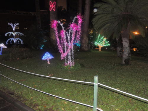 Salerno Incantata (28/11/2013)