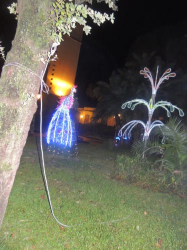 Salerno Incantata (28/11/2013)