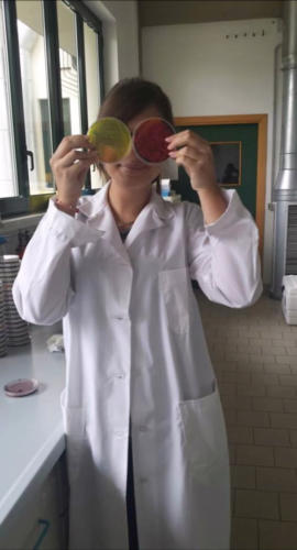 POR C5 - "Costruisco il mio futuro" (Cesenatico 2014)