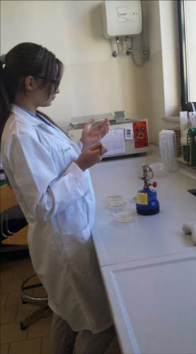 POR C5 - "Costruisco il mio futuro" (Cesenatico 2014)