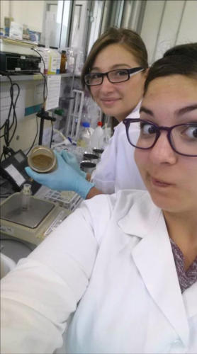 POR C5 - "Costruisco il mio futuro" (Cesenatico 2014)