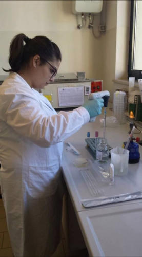 POR C5 - "Costruisco il mio futuro" (Cesenatico 2014)