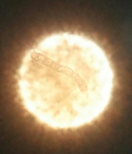 a Scuola di Vela (18/1/2016)