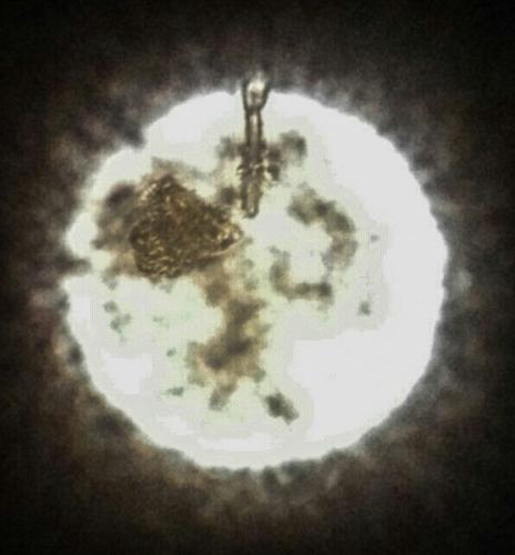 a Scuola di Vela (18/1/2016)