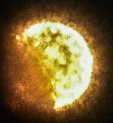 a Scuola di Vela (18/1/2016)