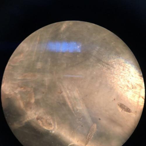 a Scuola di Vela (18/1/2016)