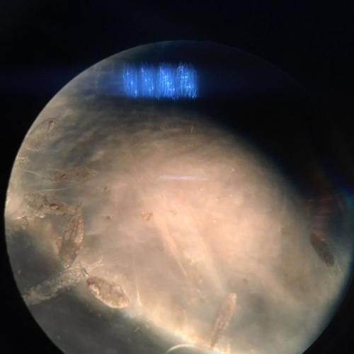 a Scuola di Vela (18/1/2016)