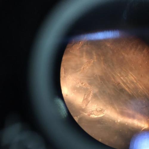 a Scuola di Vela (18/1/2016)