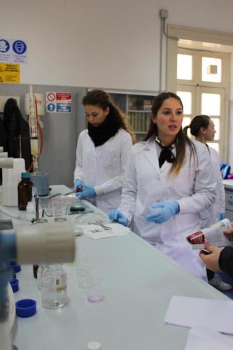 Open Day (23/01/2016)