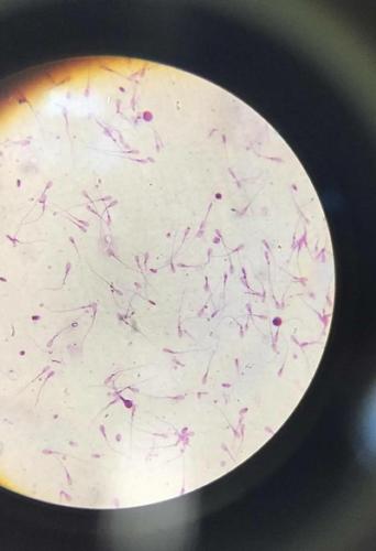 Open Day (23/01/2016)