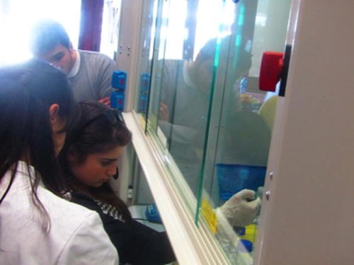 La Scienza e il Delitto (5-21/4/2016)