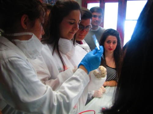 La Scienza e il Delitto (5-21/4/2016)