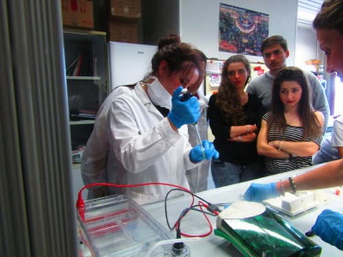 La Scienza e il Delitto (5-21/4/2016)