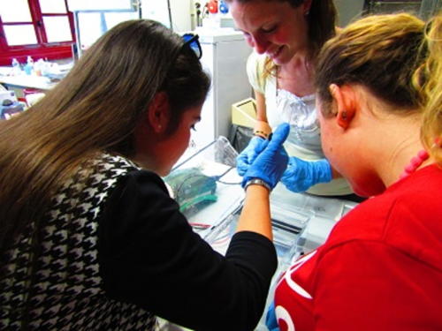 La Scienza e il Delitto (5-21/4/2016)