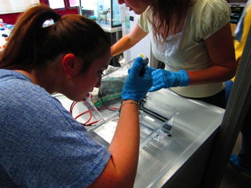 La Scienza e il Delitto (5-21/4/2016)