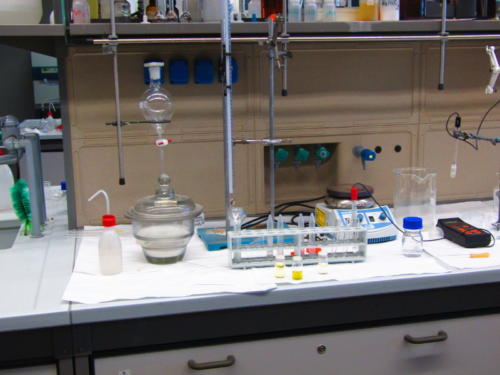 La Scienza e il Delitto (5-21/4/2016)