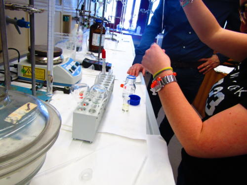 La Scienza e il Delitto (5-21/4/2016)