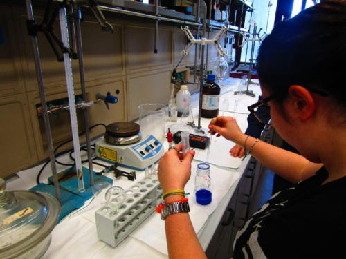 La Scienza e il Delitto (5-21/4/2016)