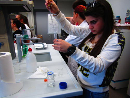 La Scienza e il Delitto (5-21/4/2016)