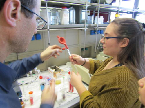 La Scienza e il Delitto (5-21/4/2016)