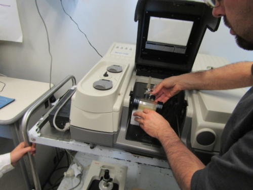 La Scienza e il Delitto (5-21/4/2016)