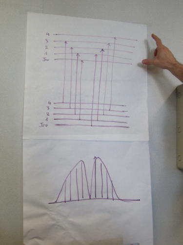 La Scienza e il Delitto (5-21/4/2016)