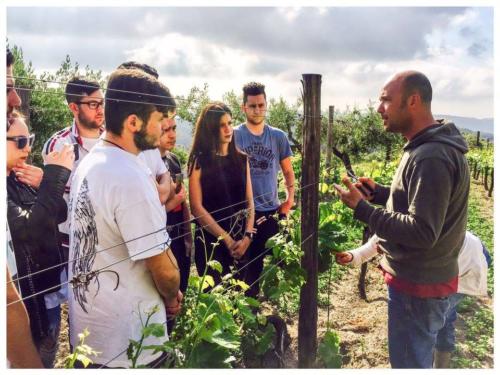Visita didattica alle Cantine Astroni (14/4/2017)