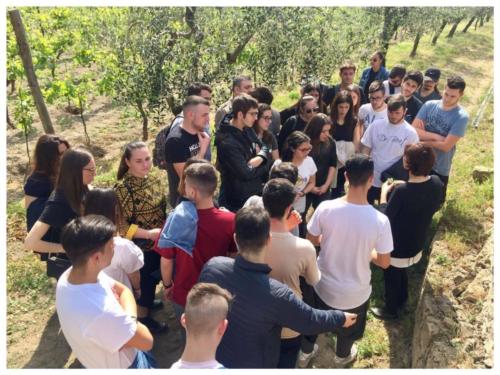 Visita didattica alle Cantine Astroni (14/4/2017)