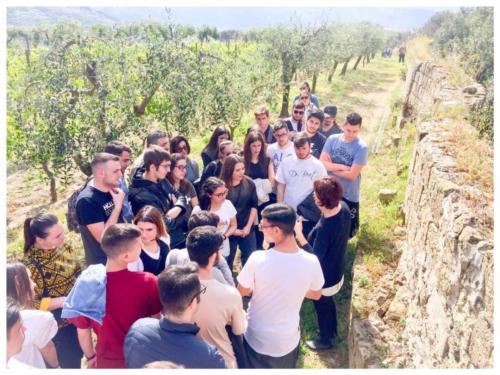 Visita didattica alle Cantine Astroni (14/4/2017)