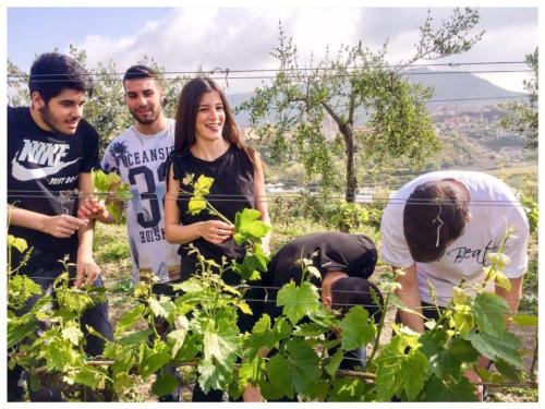 Visita didattica alle Cantine Astroni (14/4/2017)