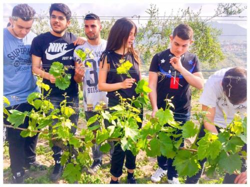 Visita didattica alle Cantine Astroni (14/4/2017)