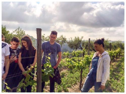 Visita didattica alle Cantine Astroni (14/4/2017)