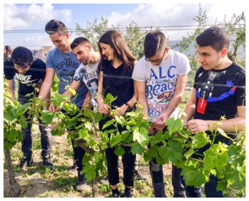 Visita didattica alle Cantine Astroni (14/4/2017)