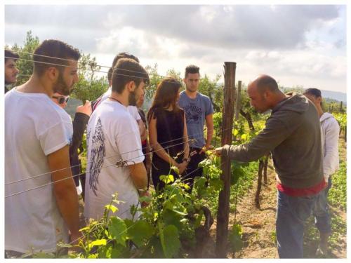 Visita didattica alle Cantine Astroni (14/4/2017)