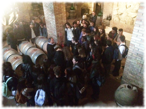Visita didattica alle Cantine Astroni (14/4/2017)