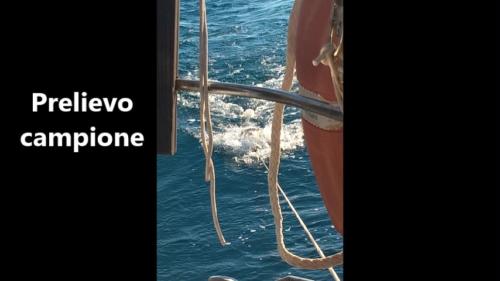 a Scuola di Vela (4/2017)