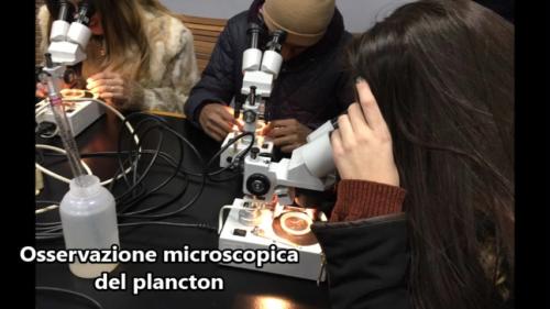 a Scuola di Vela (4/2017)