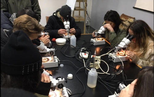 a Scuola di Vela (4/2017)